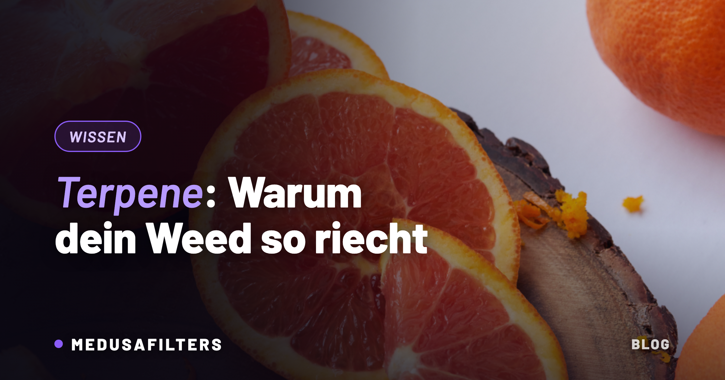 Aufgeschnittene Zitrusfrüchte mit Schalenabrieb als Sinnbild für Terpene im Cannabis