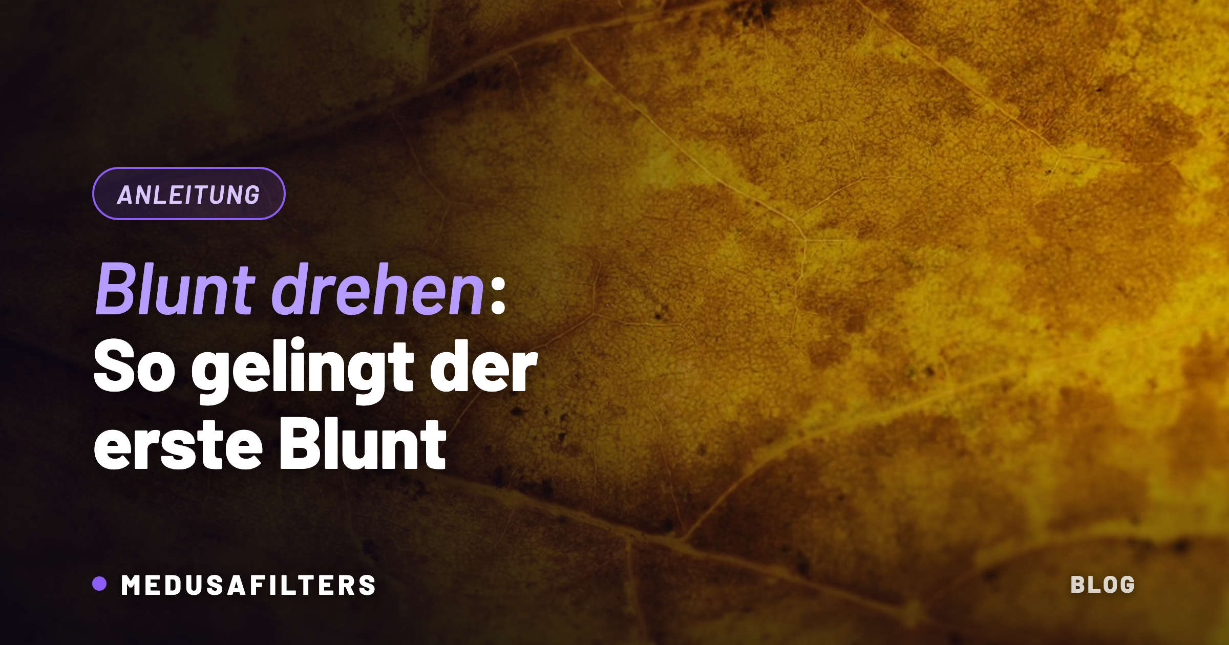 Makroaufnahme eines getrockneten Tabakblatts – Wickelmaterial zum Blunt drehen