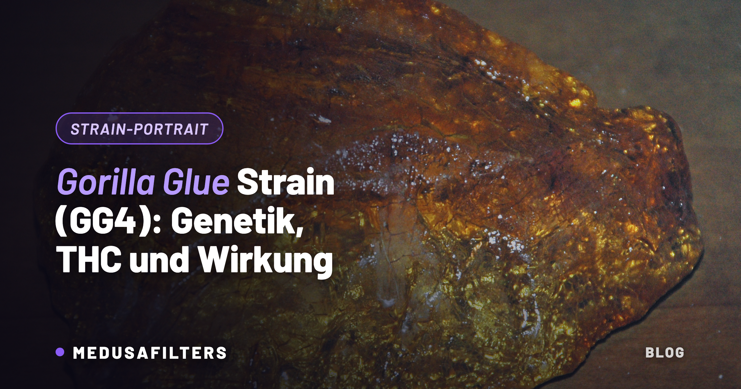 Gorilla Glue Strain GG4 — Makro eines bernsteinfarbenen, klebrigen Harzbrockens