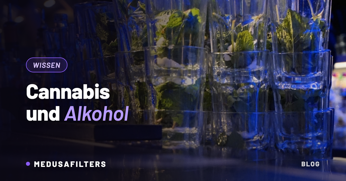 Cannabis und Alkohol: Gläser mit Minzblättern an einer nächtlichen Bar in blauem Licht
