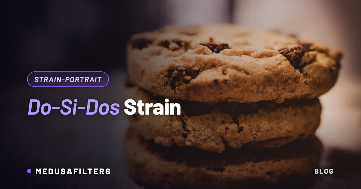 Do-Si-Dos Strain: Stapel aus drei Keksen als Anspielung auf die Cookies-Herkunft der Sorte