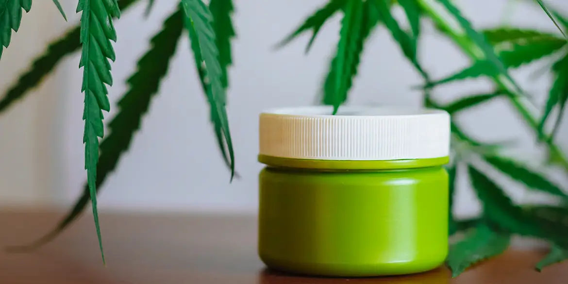 Hanfsalbe erklärt: Was macht die Salbe aus Hanf so besonders?