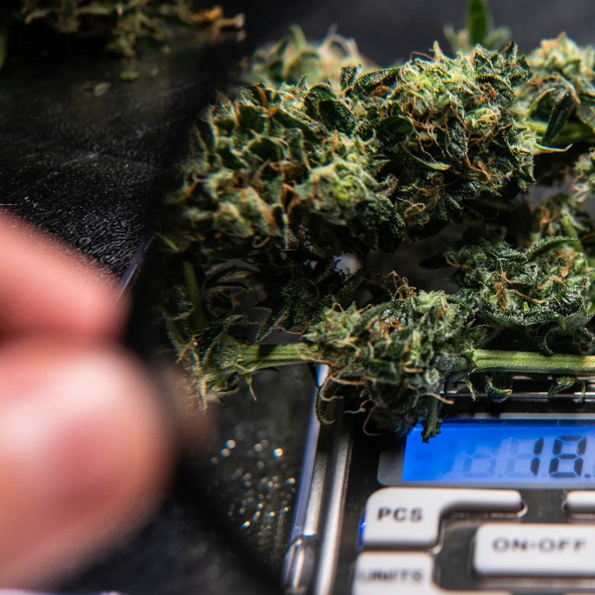 wieviel cannabis in rezept portion wie in kochbuch