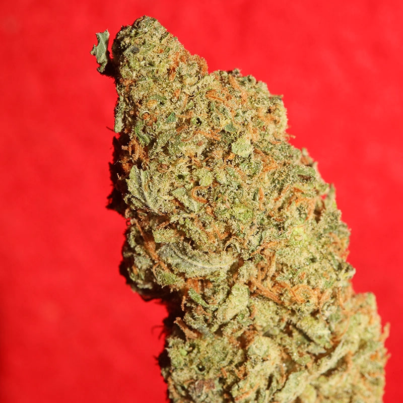 Cherry Pie Strain Cannabis