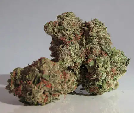 White Runtz Buds
