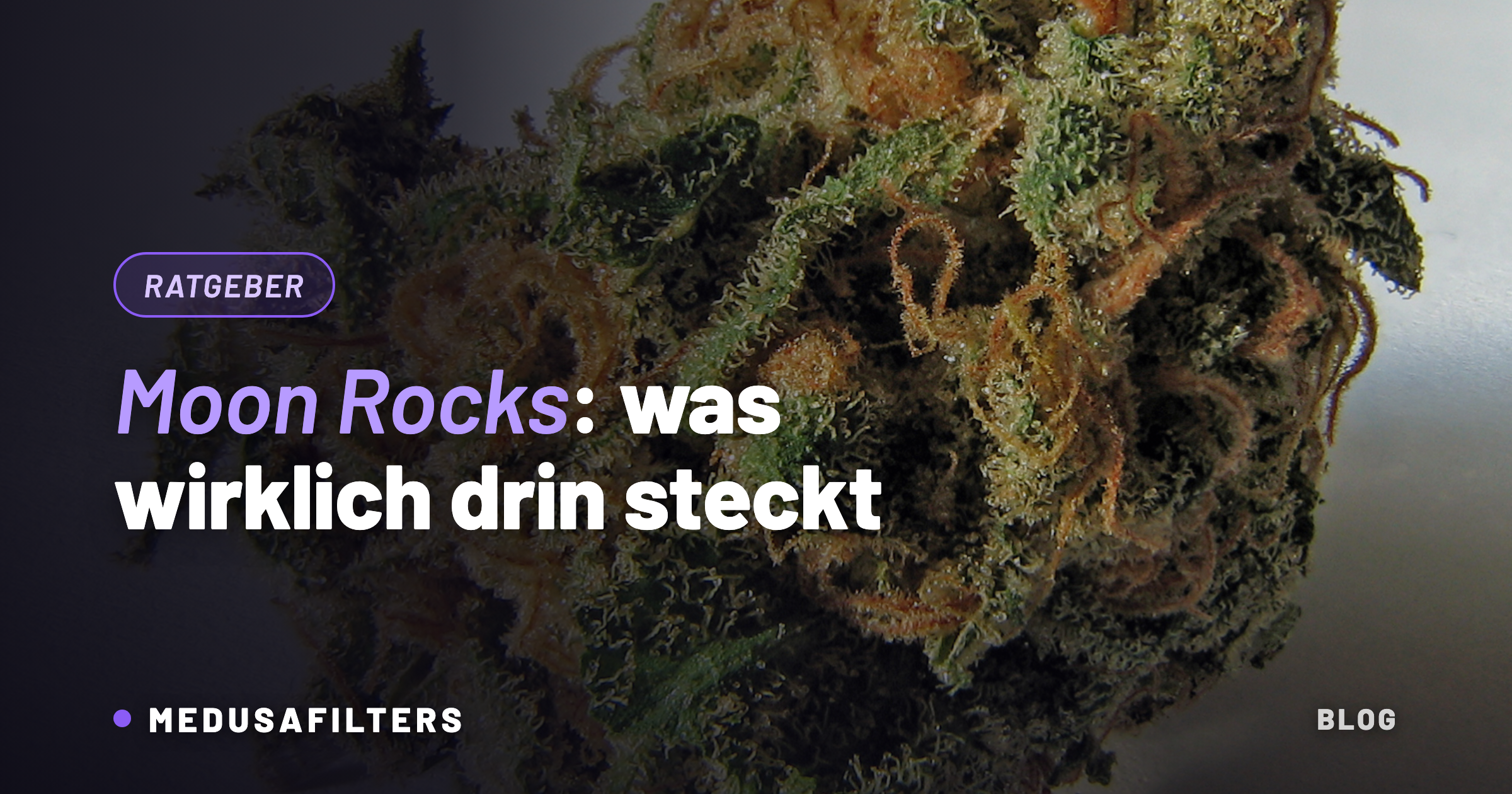 Moon Rocks: harzüberzogene Cannabisblüte in Makroaufnahme