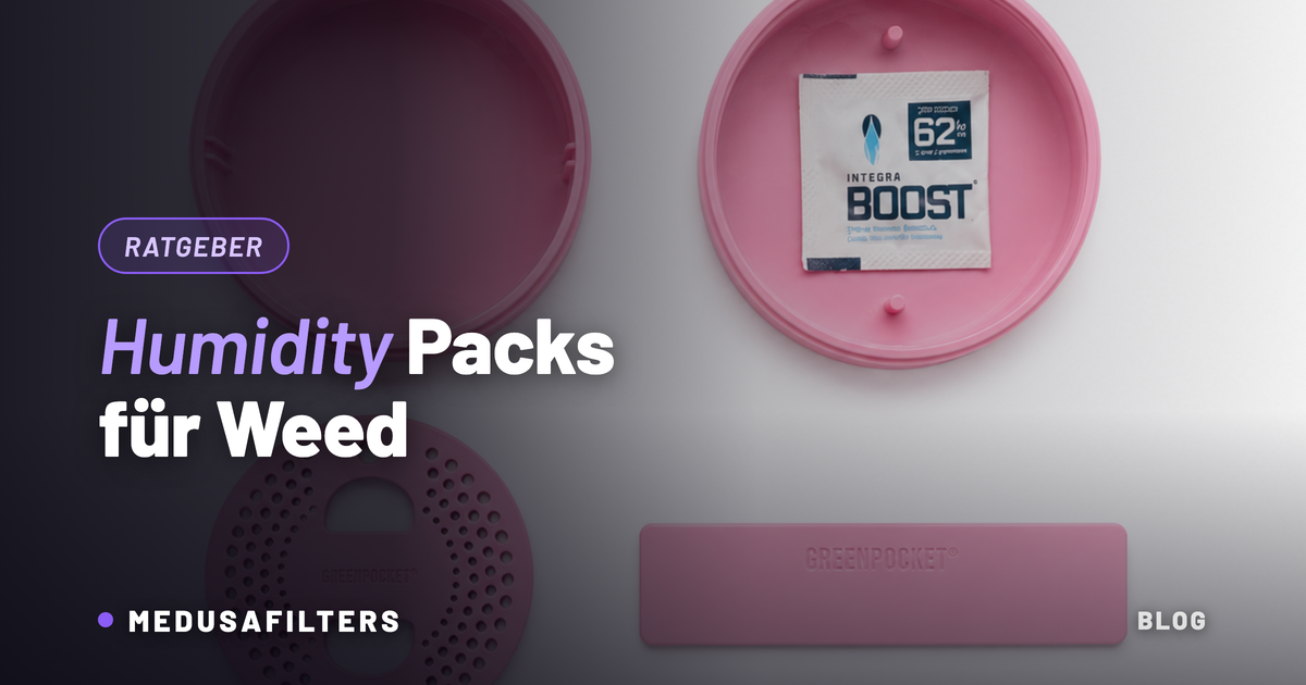 Humidity Pack mit 62 Prozent Zielwert im Deckelfach einer Green-Pocket-Dose, daneben Trennwand und Siebeinsatz
