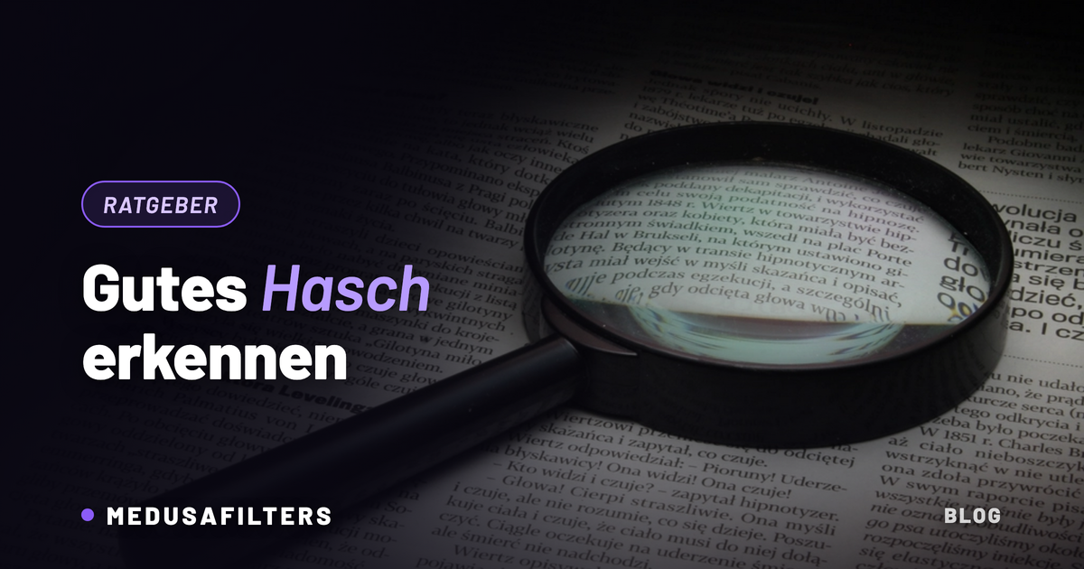 Lupe über einer Zeitungsseite als Symbol dafür, gutes Hasch erkennen und prüfen zu lernen
