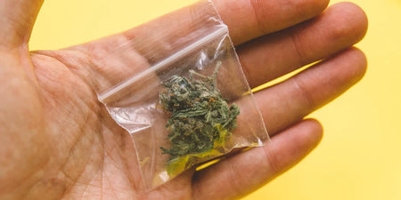 Store cannabis properly and keep it fresh for a long time image