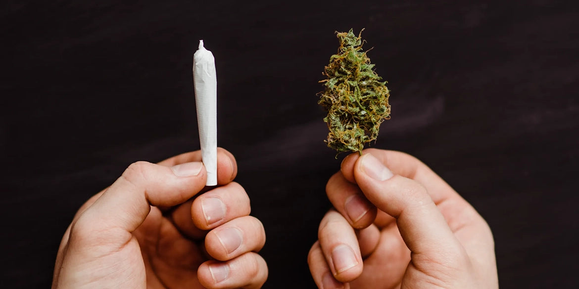 cbd rauchen joints medusafilters cannabis cannabinoide