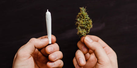 CBD joints and CBD cigarettes in Germany - How can you smoke CBD? image