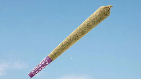 Mit 7 einfachen Schritten zum perfekten Joint image