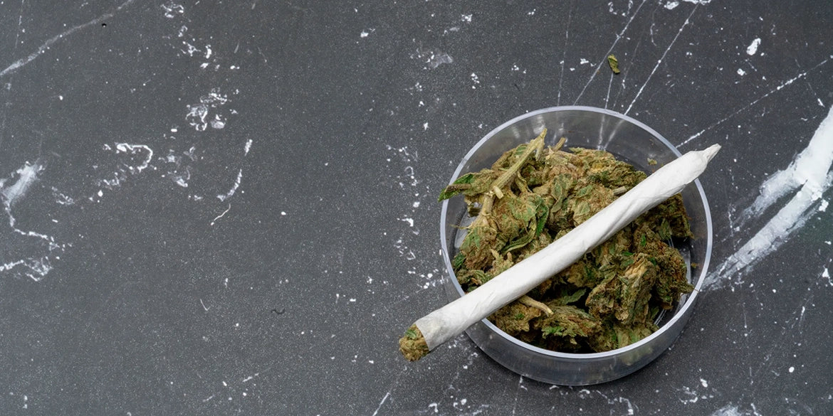 cbd rauchen gegen schmerzen medusafilters cannabis cannabinoide