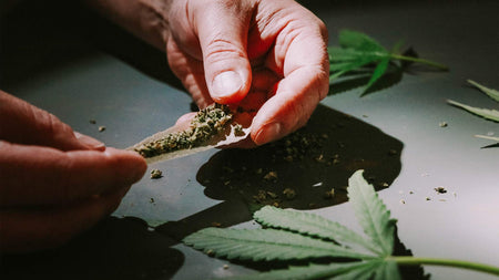 What is a joint?  image