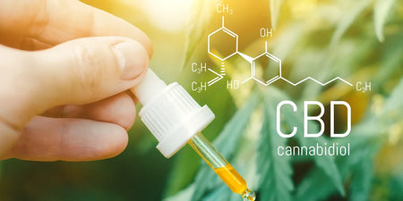 Everything about CBD: effects, uses and safety of cannabidiol image