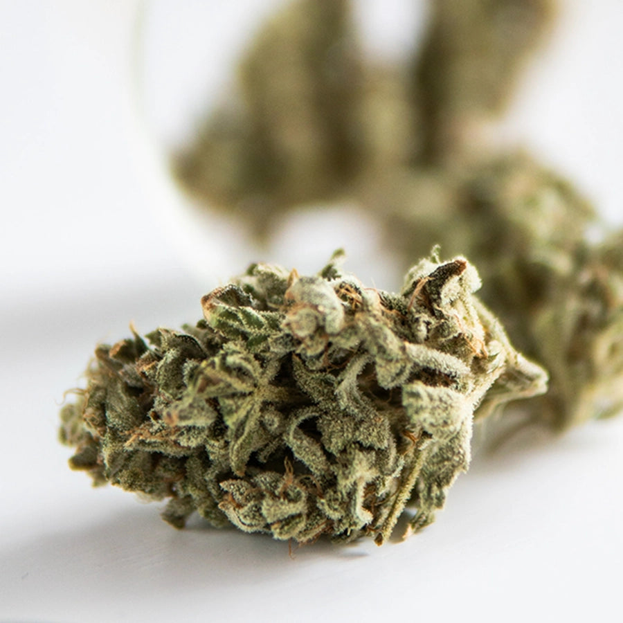 Cannabis getrocknet