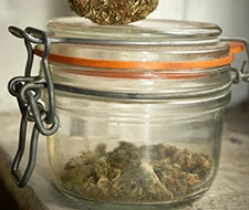 cannabis getrocknet in glas behälter fermentieren und aufbewahren haltbarkeit