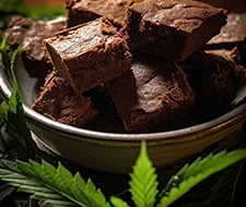 brownies edibles marihuana cannabis
