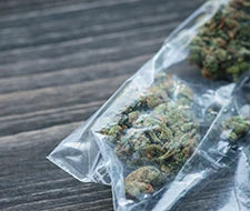 lagerbedingungen cannabis für längere haltbarkeit