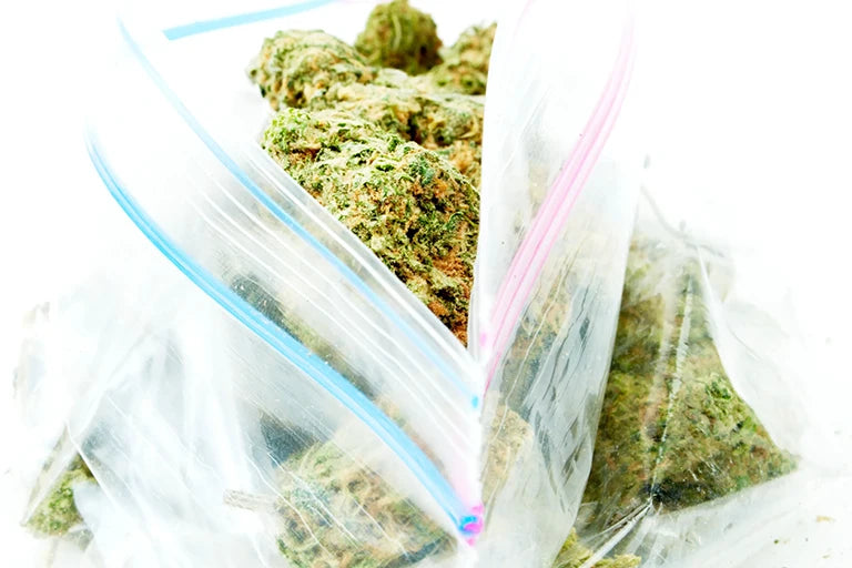 langzeitlagerung burping kontrolle der haltbarkeit von cannabis gras zu hause